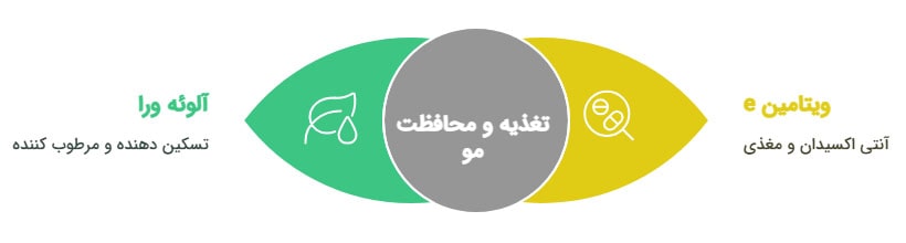 اینفوگرافیک ترکیبات